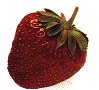 fraise.jpg
